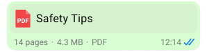 screenshot of pdf attachment in whatsapp reading safety tips